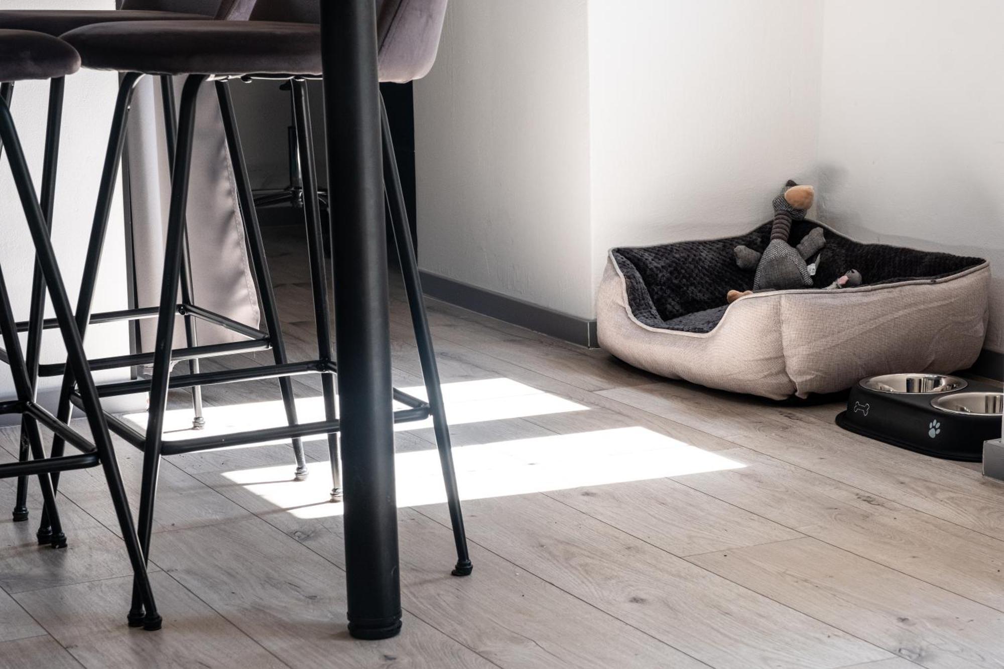Ferienwohnung Il Camino Opatija Exterior foto